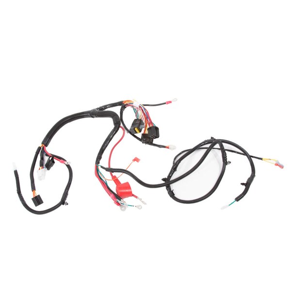 Harness Asm-Main